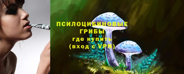 каннабис Арсеньев